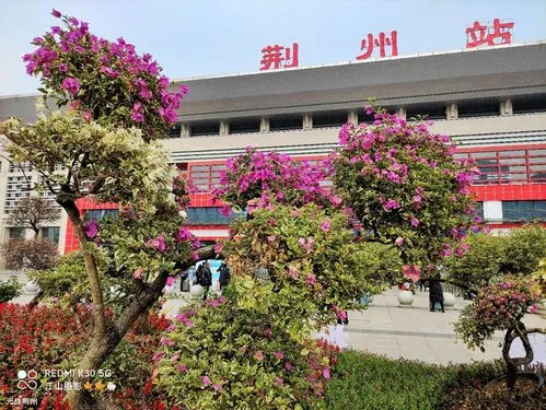 南京到荆州物流公司-南京到荆州专线-大件物流