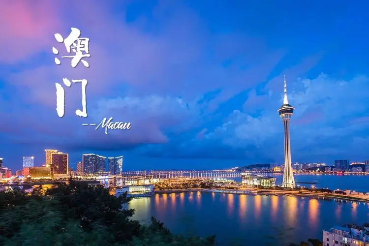 高明区到澳门物流公司-高明区到澳门专线-用心服务