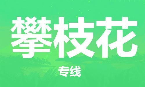清城区到攀枝花物流公司-清城区至攀枝花专线资源丰富搬家物流专线
