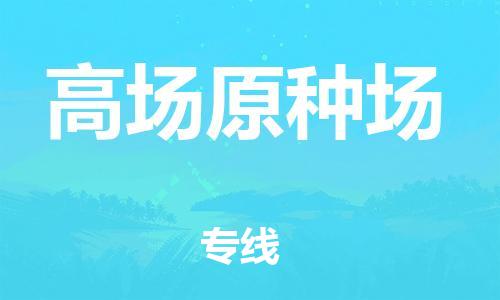 清城区到高场原种场物流搬家-清城区到纽约物流专线