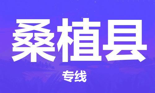 清城区到桑植县物流公司-冰箱空调家具包裹-长途搬家