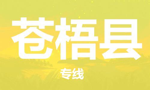 惠州到苍梧县物流专线-全面保障的惠州至苍梧县货运