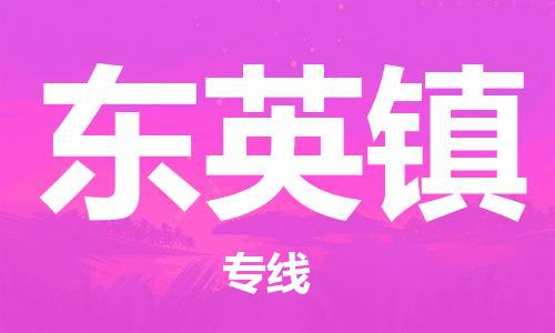清城区到东英镇物流搬家-清城区到纽约物流专线