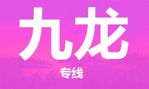 南海区到九龙物流公司-南海区到九龙专线-（区域内/无盲点配送）